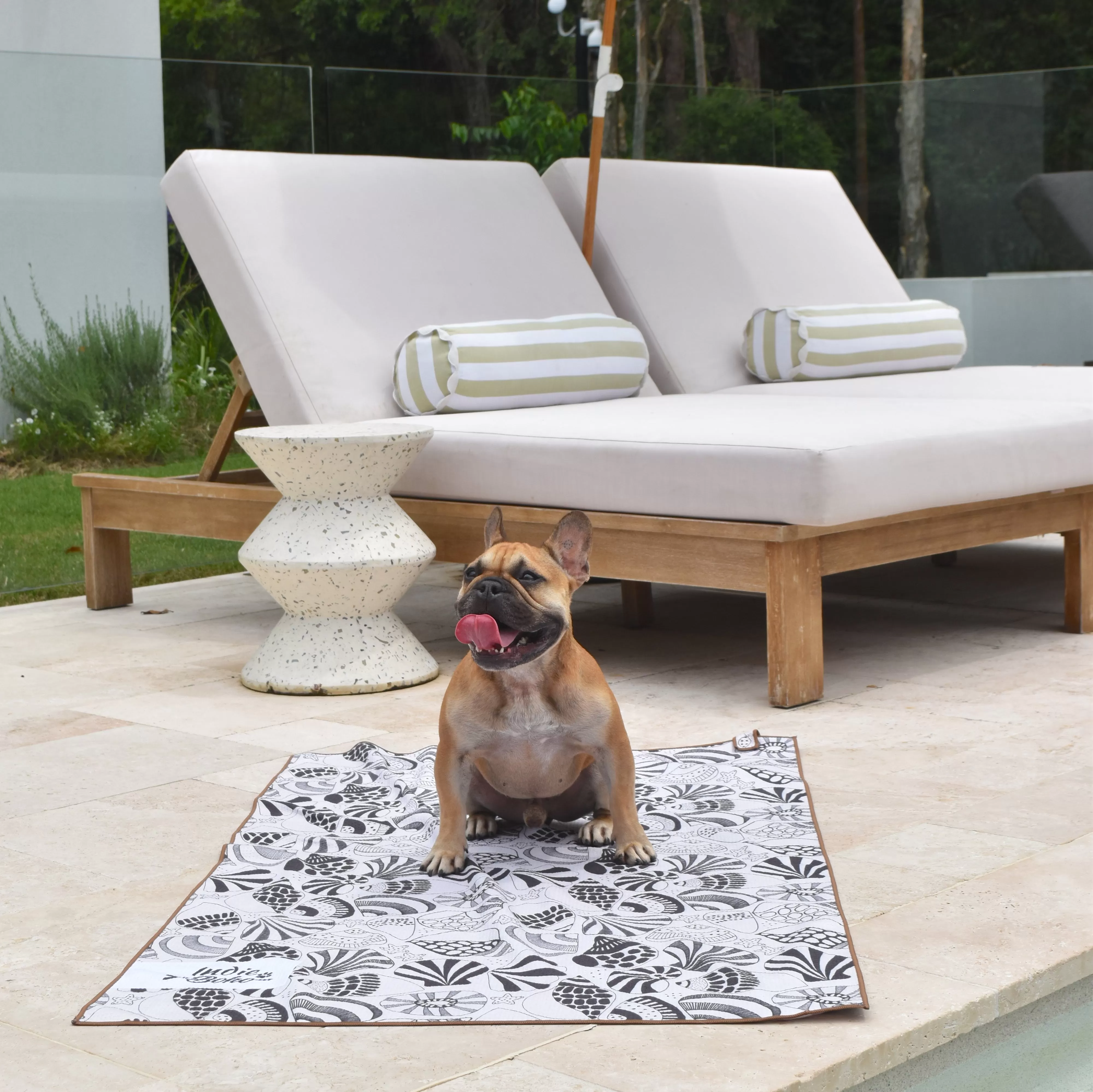 Daydream Shells Pet Travel and Bath Towel