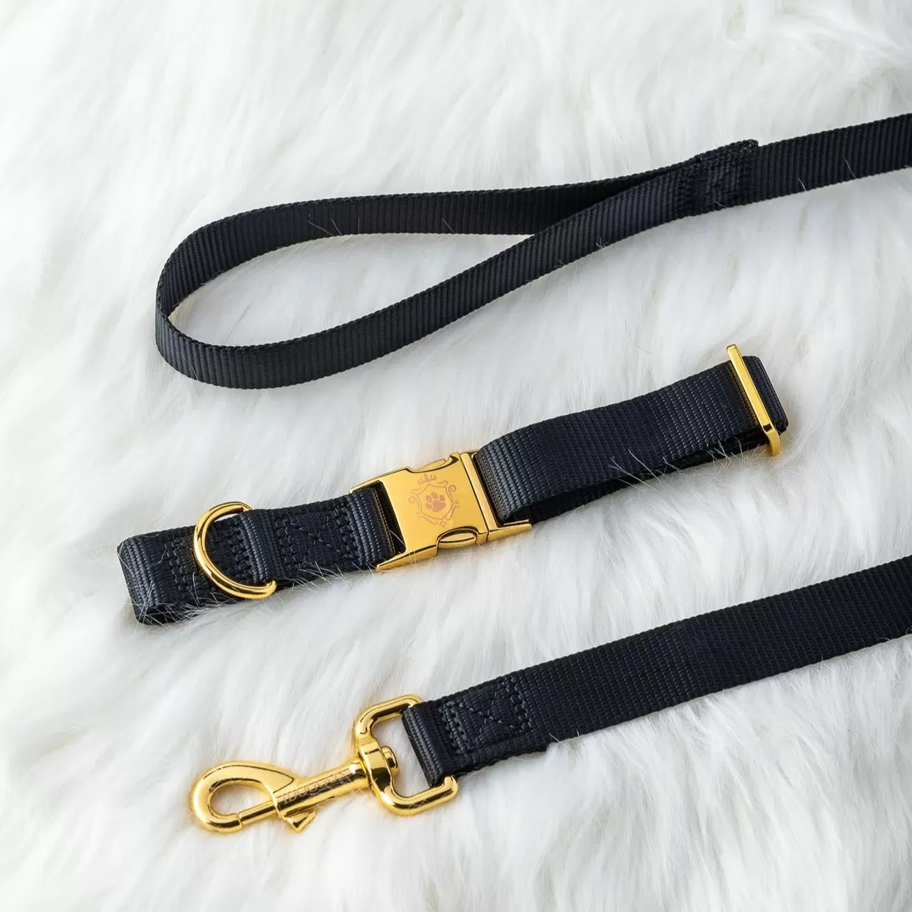 Lilo Collar & Leash Set