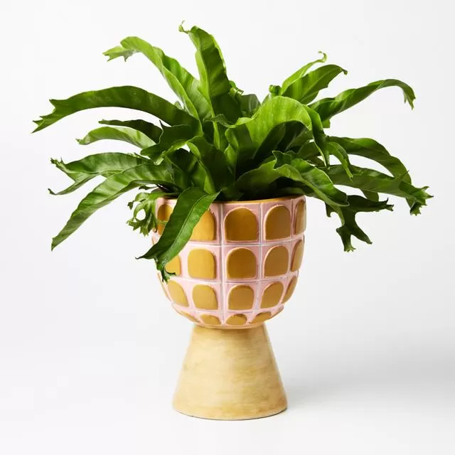 Palazzo Planter