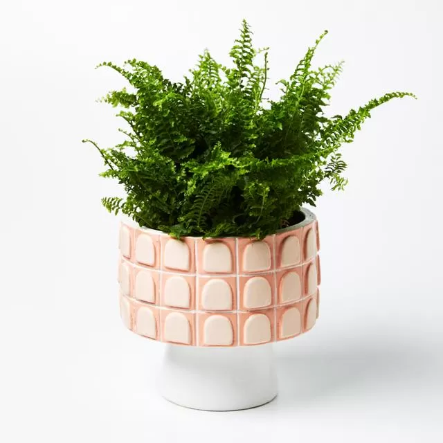 Palazzo Planter