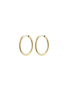 PILGRIM April Recycled Small Hoop Earrings