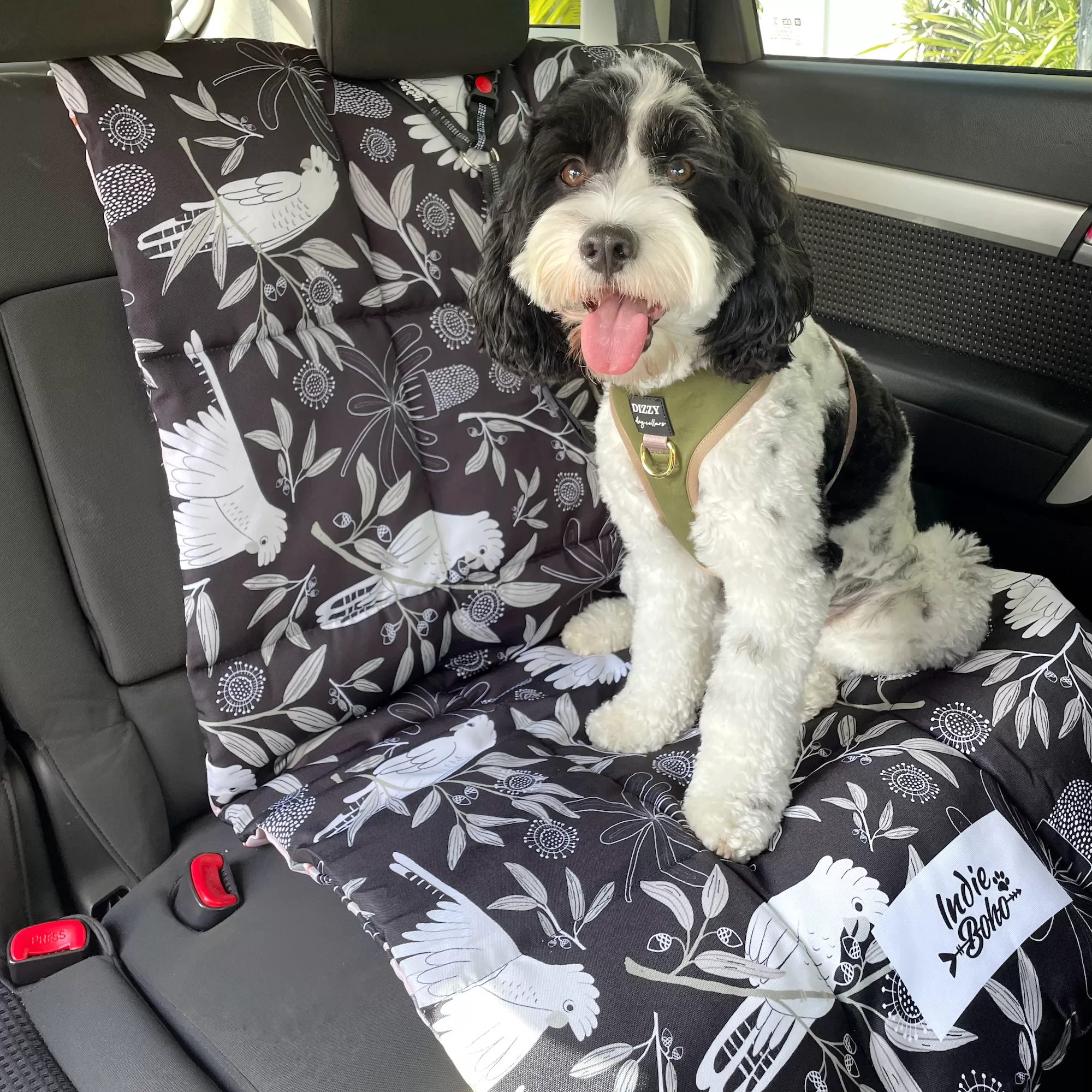 Sunset Cockatoo Dog Travel Mat