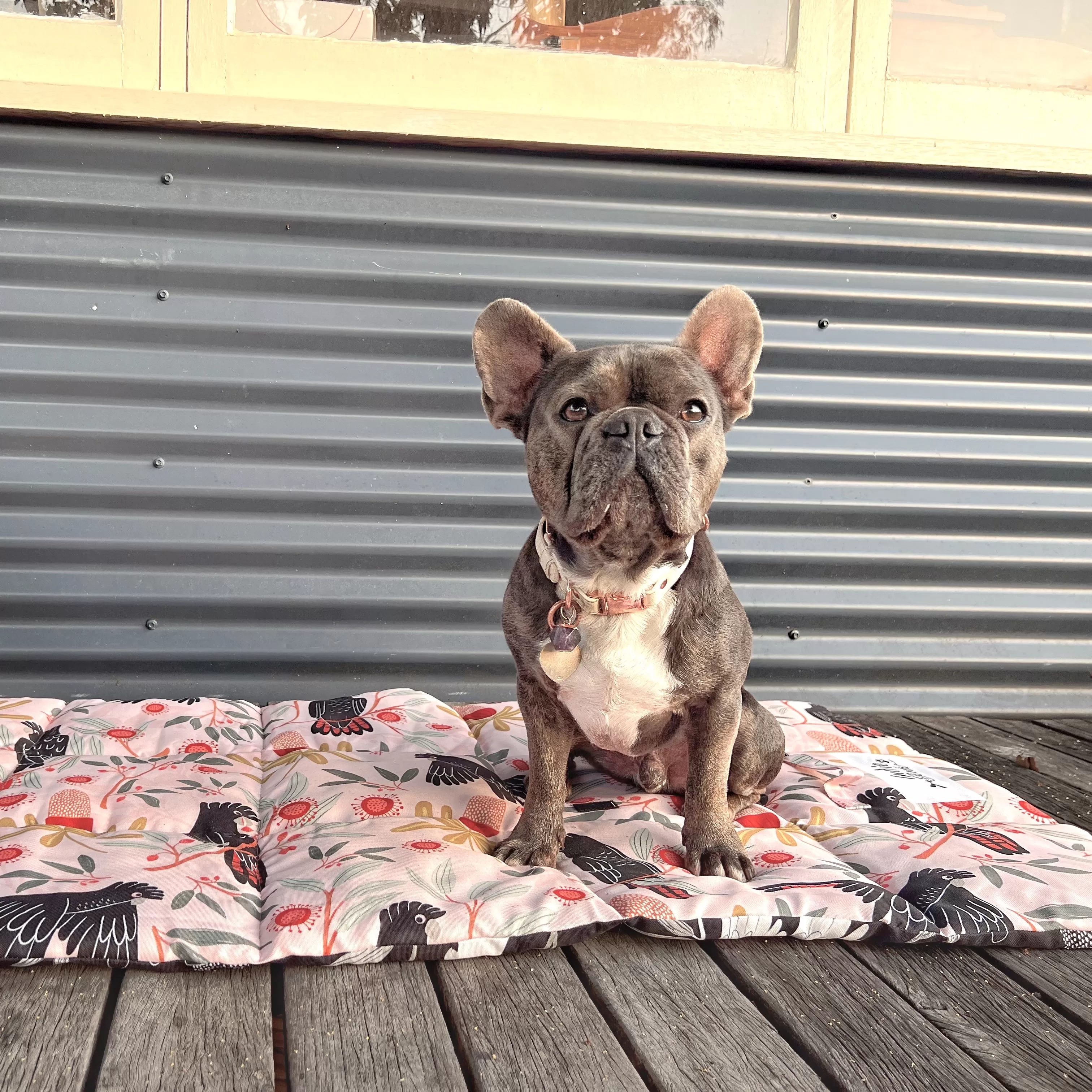 Sunset Cockatoo Dog Travel Mat